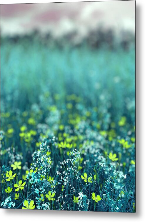 Nature Metal Print featuring the photograph Magnificent meadow by Nicole March