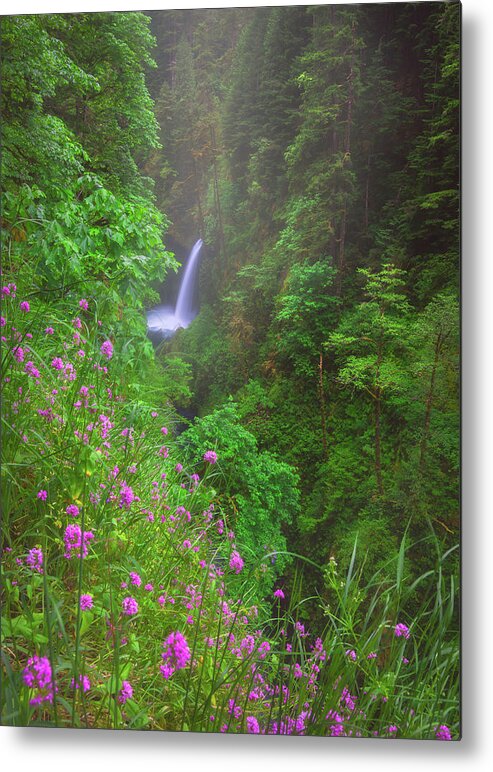 Metlako Falls Metal Print featuring the photograph Metlako Falls Flowers by Darren White