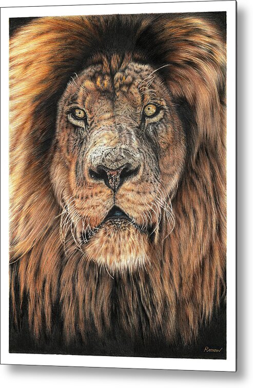King Metal Print featuring the drawing Noble King by Casey 'Remrov' Vormer