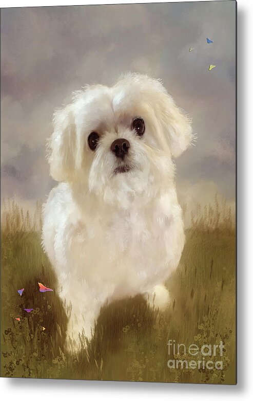 Dog Metal Print featuring the digital art Oh Please Throw The Squeaky Toy by Lois Bryan