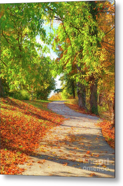 Pathway To Autumn Metal Print featuring the photograph Pathway To Autumn # 3 by Mel Steinhauer