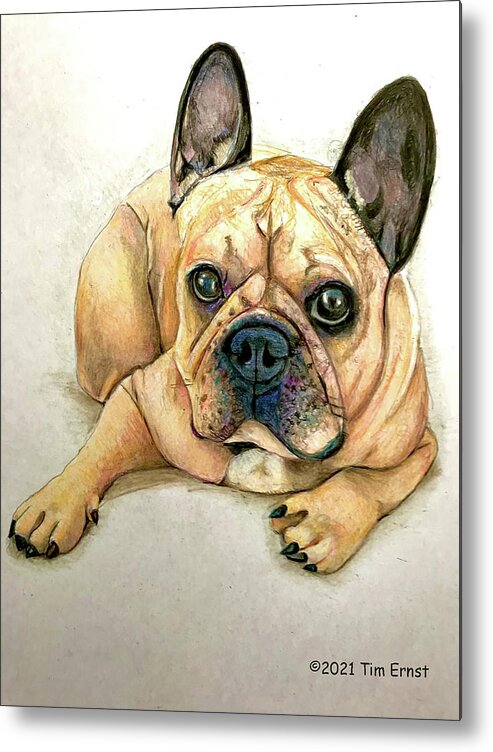 Dog Metal Print featuring the drawing Rocky by Tim Ernst