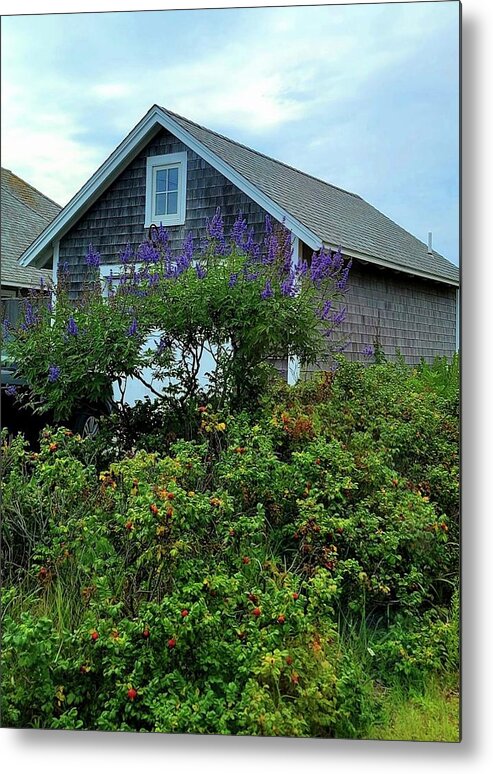Lilac Metal Print featuring the photograph Rose Hips and Lilacs by Kathy Barney