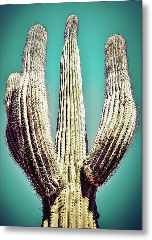 Atmospheric Metal Print featuring the photograph Saguaro #4 by Jennifer Wright