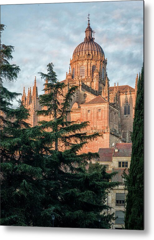 Salamanca Metal Print featuring the photograph Salamanca Spain Cathedral by Joan Carroll