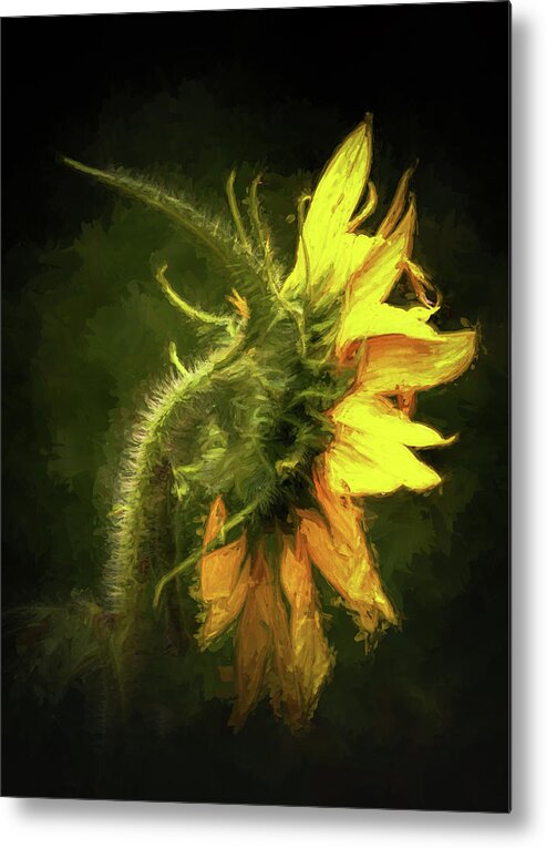 Sunflower Metal Print featuring the photograph Sensational Sunflower by Ola Allen