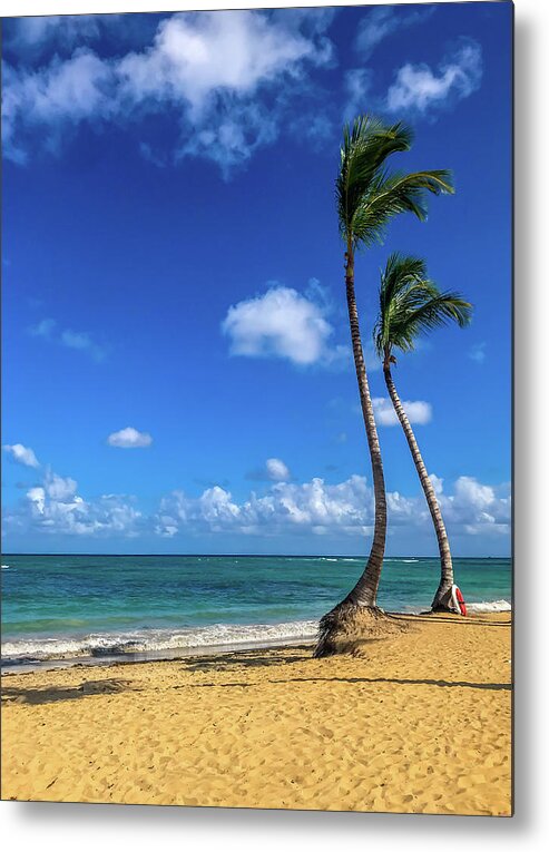 Peace Metal Print featuring the photograph Serenity by Susie Weaver