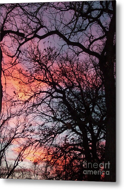 Nature Metal Print featuring the photograph Sundown Time by Mary Mikawoz