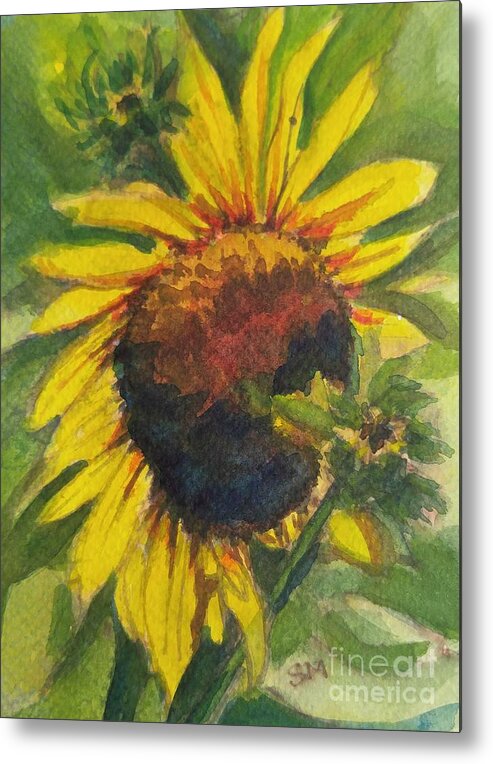 Sunflower Metal Print featuring the painting Sunflower in Full Bloom by Sonia Mocnik