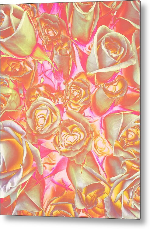 Flower Metal Print featuring the photograph Sunny dancer by Nicole March