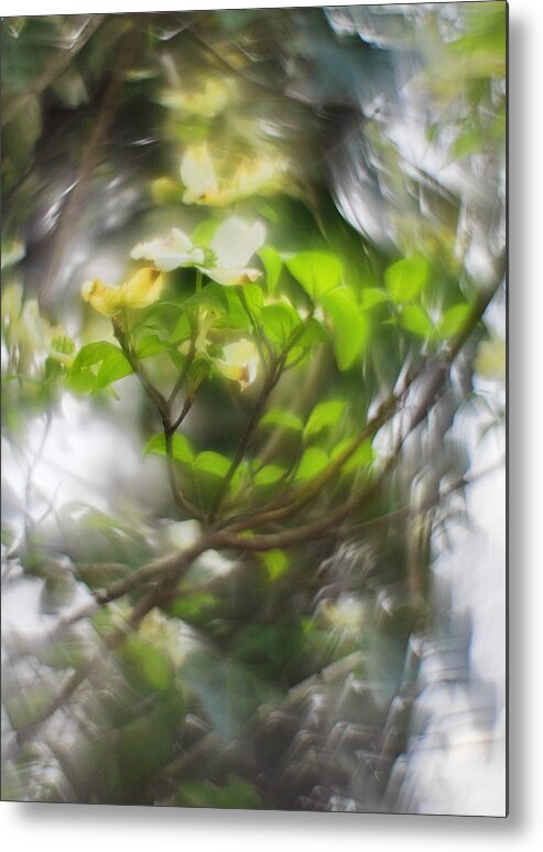 Pastels Metal Print featuring the photograph Swirls of Pastel... by Steve Ember