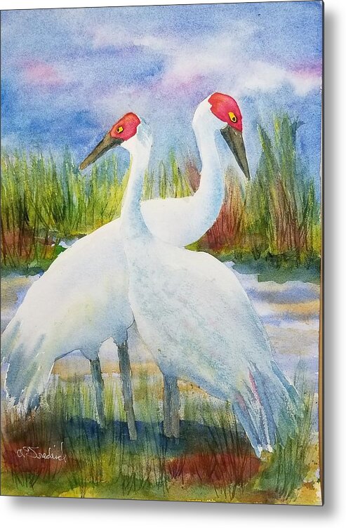 Sandhill Cranes Metal Print featuring the painting The Locals by Ann Frederick