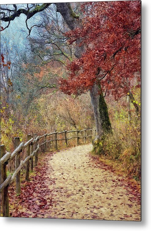 Autumn Metal Print featuring the digital art The Winding Path by Adrian McGarry