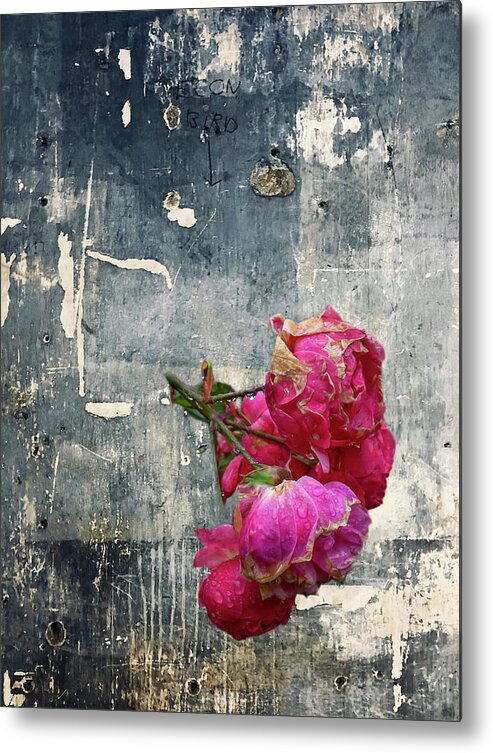 Rose Metal Print featuring the photograph Urban Roses by Cate Franklyn