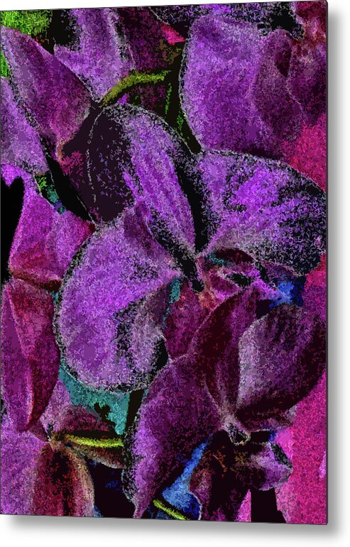Orchids Metal Print featuring the photograph Velvet Orchids by Corinne Carroll