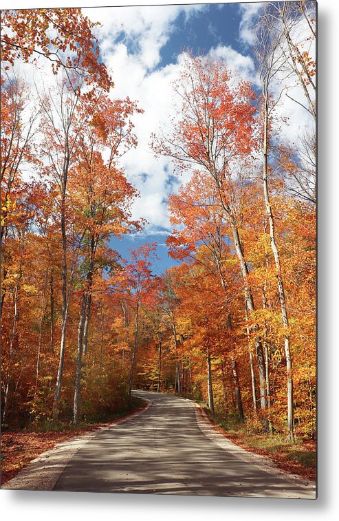 Fall Metal Print featuring the photograph Winding Through the Fall Colors by David T Wilkinson