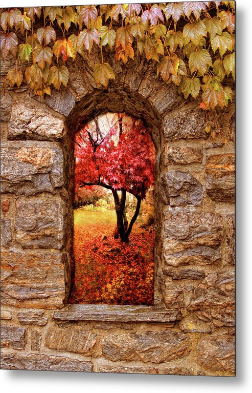 Nature Metal Print featuring the photograph Window to Autumn by Jessica Jenney