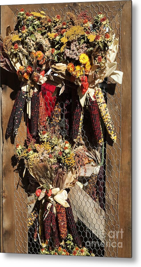 Corn Wreaths Metal Print featuring the photograph Corn wreaths by Steven Ralser