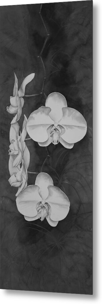 Black And White Metal Print featuring the painting Phalaenopsis Beauty in Contrast by Heather Gallup