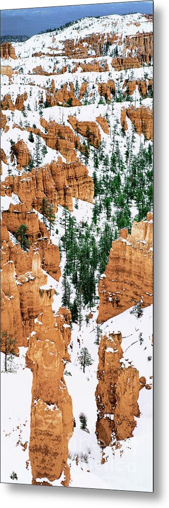 Dave Welling Metal Print featuring the photograph Panoramic Winter Hoodoos Bryce Canyon National Park #2 by Dave Welling