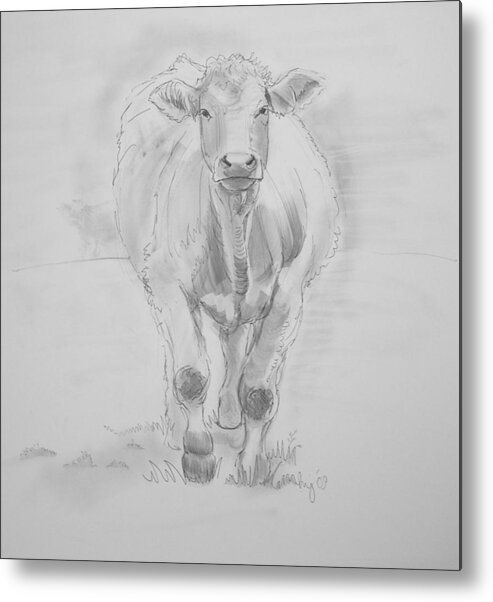 Cows Metal Print featuring the drawing Cow Drawing #1 by Mike Jory