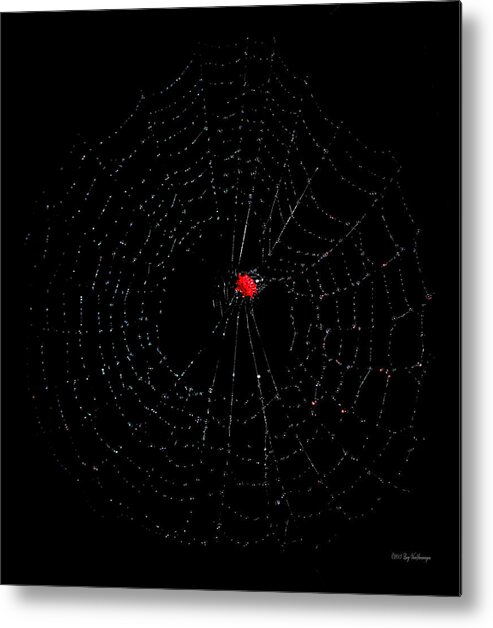 Red Metal Print featuring the photograph Bullseye Red Crab Spider by Lucy VanSwearingen