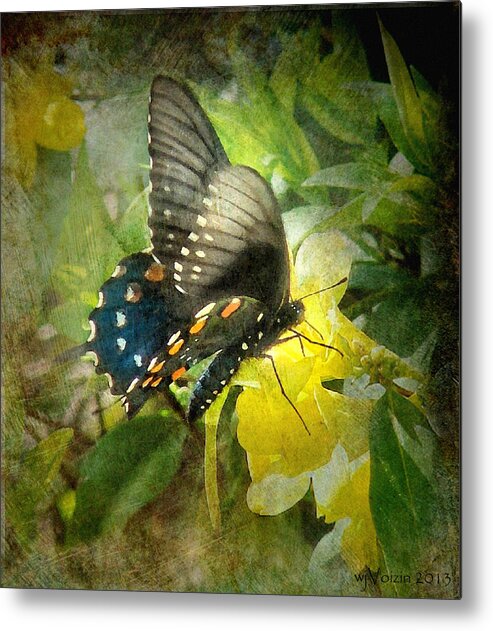 Butterfly And Jasmine - Bill Voizin Metal Print featuring the photograph Butterfly and Jasmine by Bill Voizin