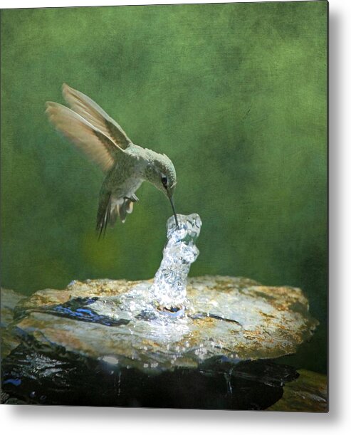 Hummingbird Metal Print featuring the photograph Cool Refreshment by Angie Vogel