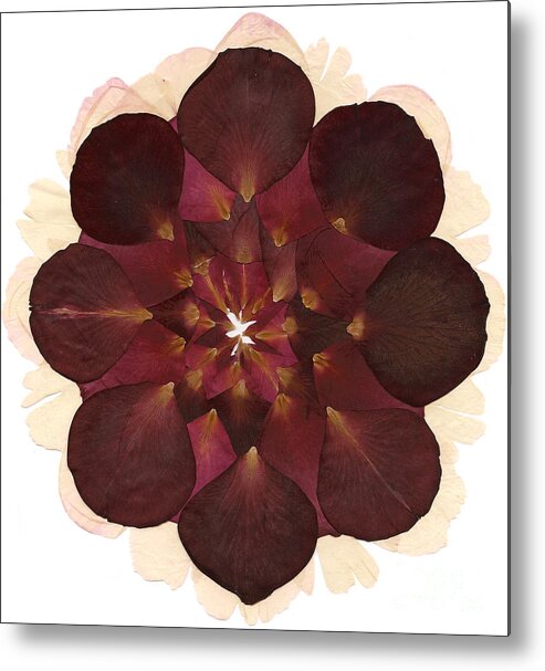 Flower Metal Print featuring the mixed media Flower Mandala 8 by Michelle Bien