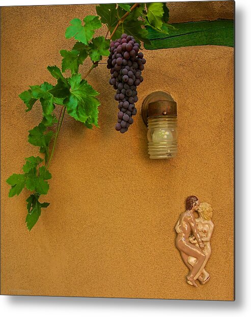 Still Life Metal Print featuring the photograph From the Shire by Britt Runyon