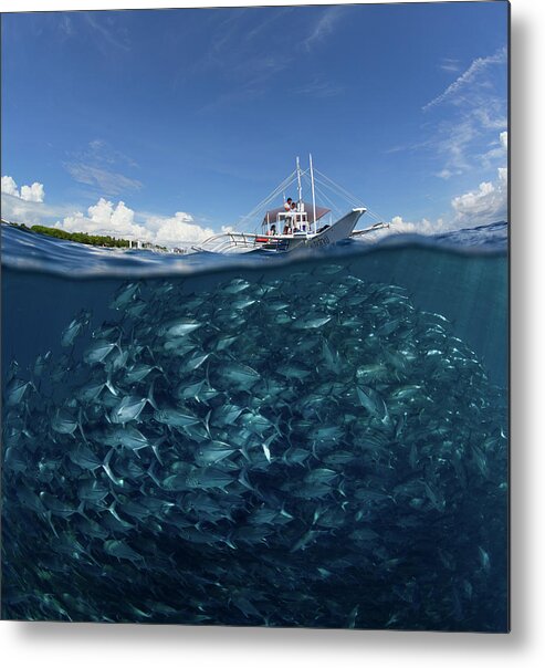 Fish Metal Print featuring the photograph Go Diving? by Andrey Narchuk