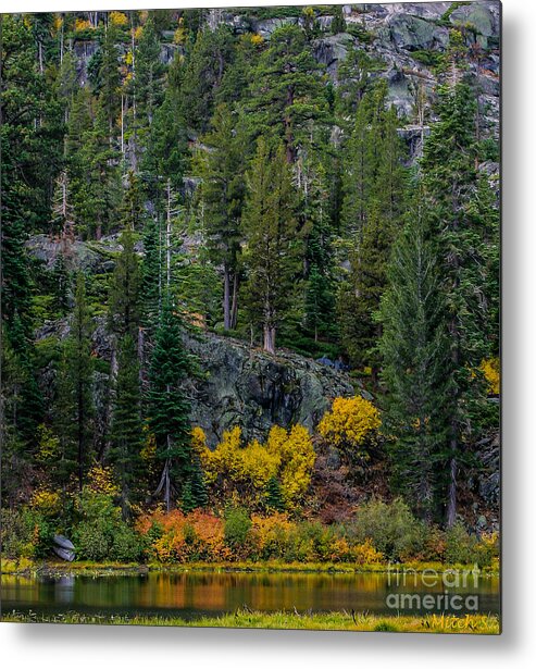 Lily Lake Autumn Metal Print featuring the photograph Lily Lake Autumn by Mitch Shindelbower