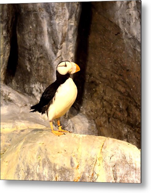 Proud Puffin Metal Print featuring the photograph Proud Puffin by Luther Fine Art