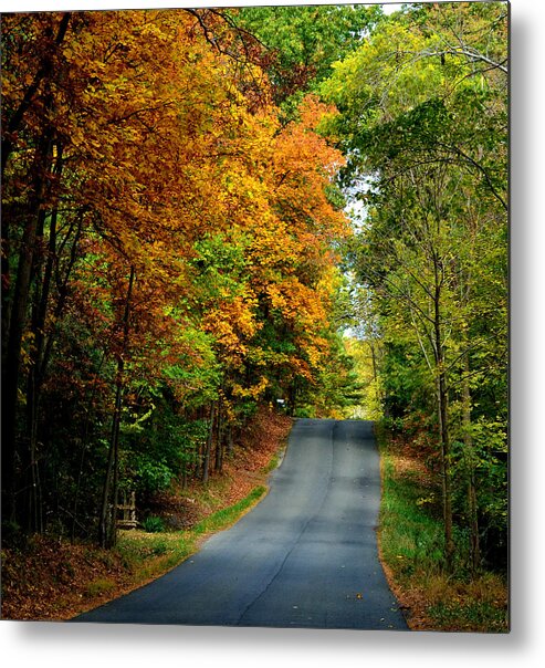 Road Metal Print featuring the photograph Road To Riches by Carlee Ojeda