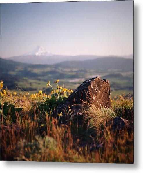 Tranquility Metal Print featuring the photograph Rocks And Wildflowers Overlooking Mt by Danielle D. Hughson