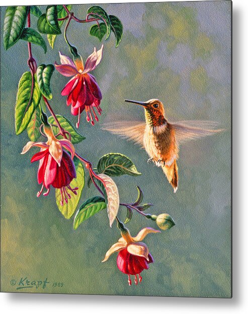 Wildlife Metal Print featuring the painting Rufous and Fuschia by Paul Krapf