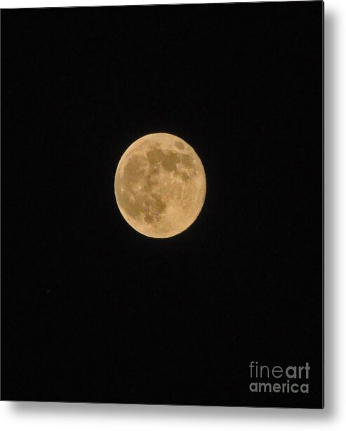 Moon Metal Print featuring the photograph Super Moon 8 10 14 by Jay Milo