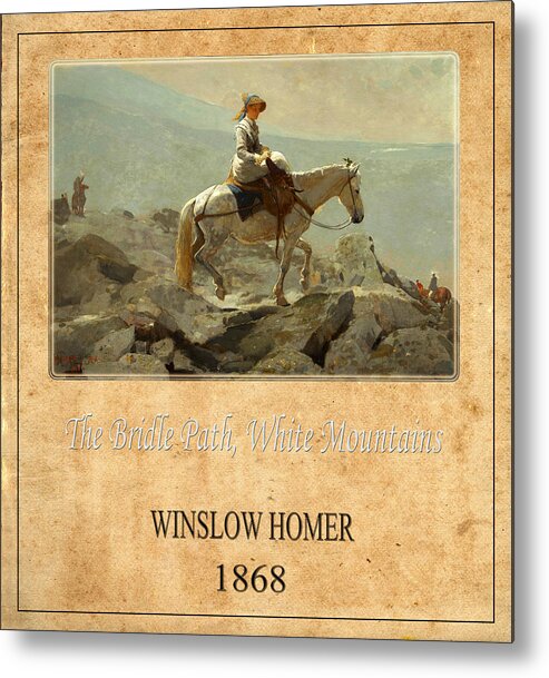 Homer Metal Print featuring the photograph Winslow Homer 5 by Andrew Fare