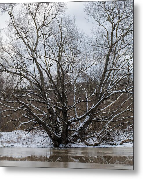 Winter Metal Print featuring the photograph Winter Leif Sohlman by Leif Sohlman
