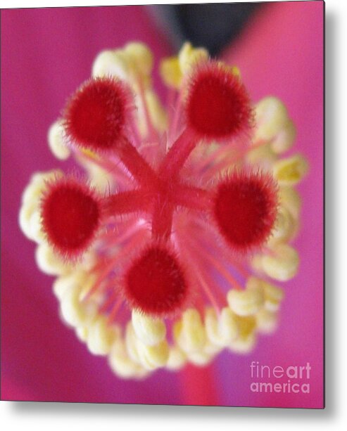 Flower Metal Print featuring the photograph Complex Photography by Holy Hands