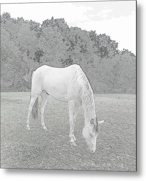 Horse Metal Print featuring the photograph Grazing by Kim Galluzzo