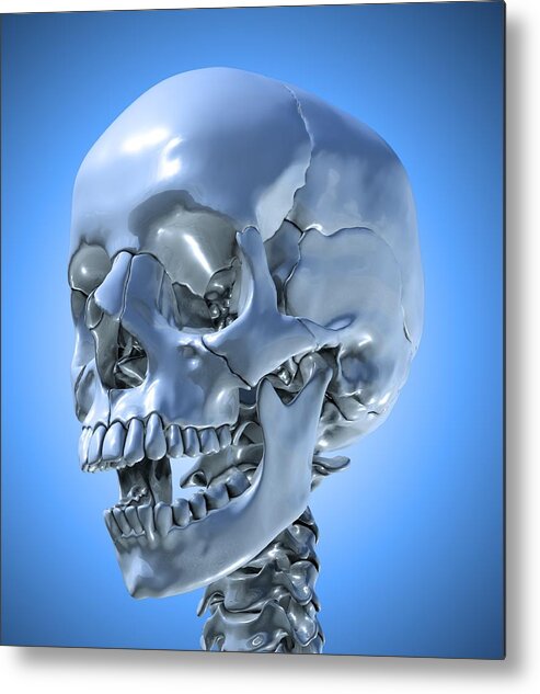 Vertical Metal Print featuring the digital art Human Skull, Artwork by Andrzej Wojcicki