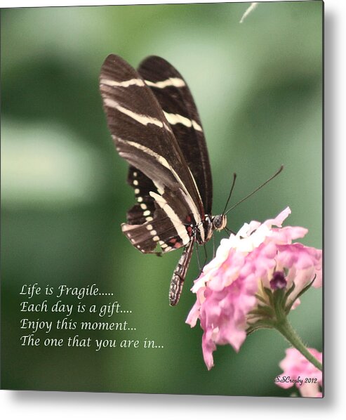 Life Is Fragile Metal Print featuring the photograph Life is Fragile by Susan Stevens Crosby