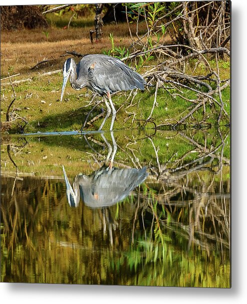 Heron Metal Print featuring the photograph I see you #1 by Jerry Cahill