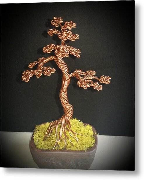 77 Copper Bonsai Tree Wire Sculpture Metal Print By Ricks Tree Art