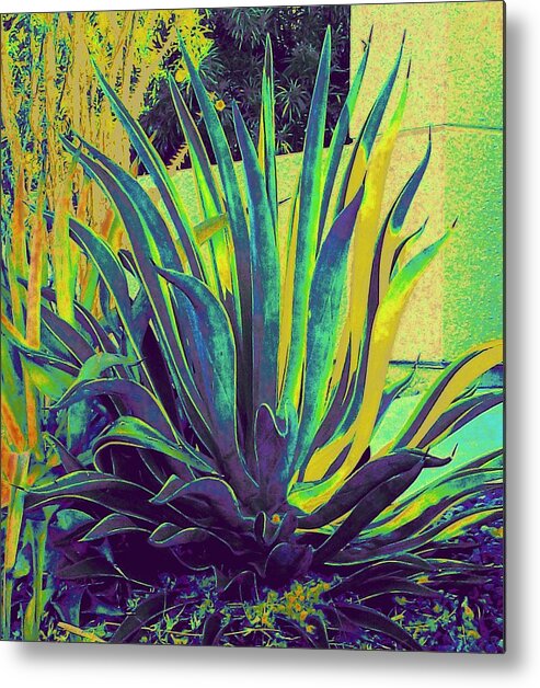 Agave Metal Print featuring the photograph Agave Maria by Randall Weidner
