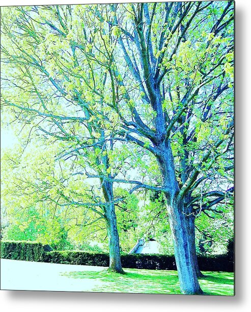 Trees Metal Print featuring the photograph Alive by HweeYen Ong