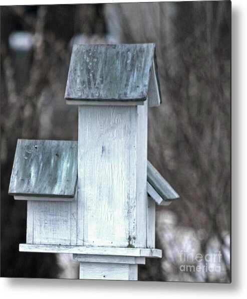 Bird House Metal Print featuring the photograph Bird Abode by Dianne Morgado