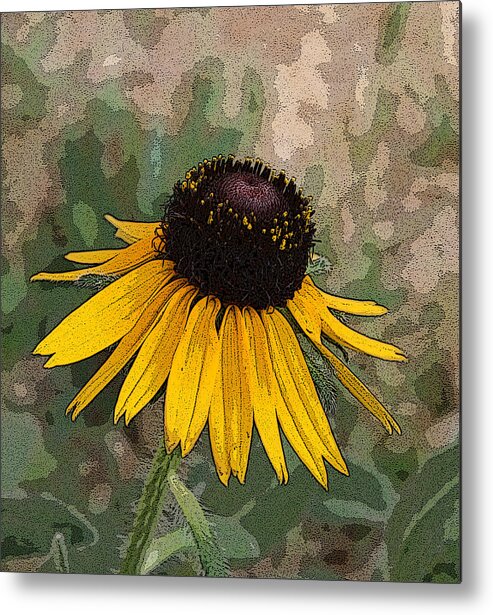 Daisy Metal Print featuring the photograph Black Eyed Susan by Marna Edwards Flavell