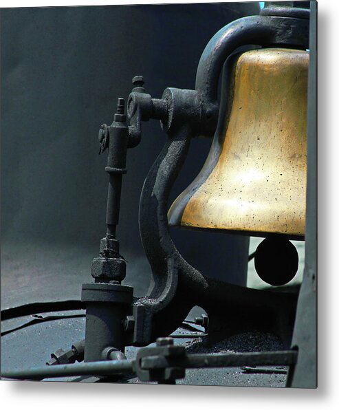Cass Metal Print featuring the photograph Close Up Shay 2 b by Cathy Lindsey